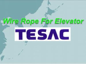 Logo Tesac